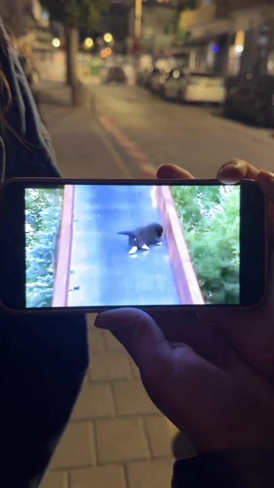 TikTok video thumbnail by mika.boroda