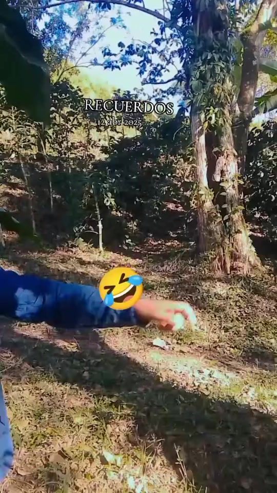TikTok video thumbnail by sinlimites643