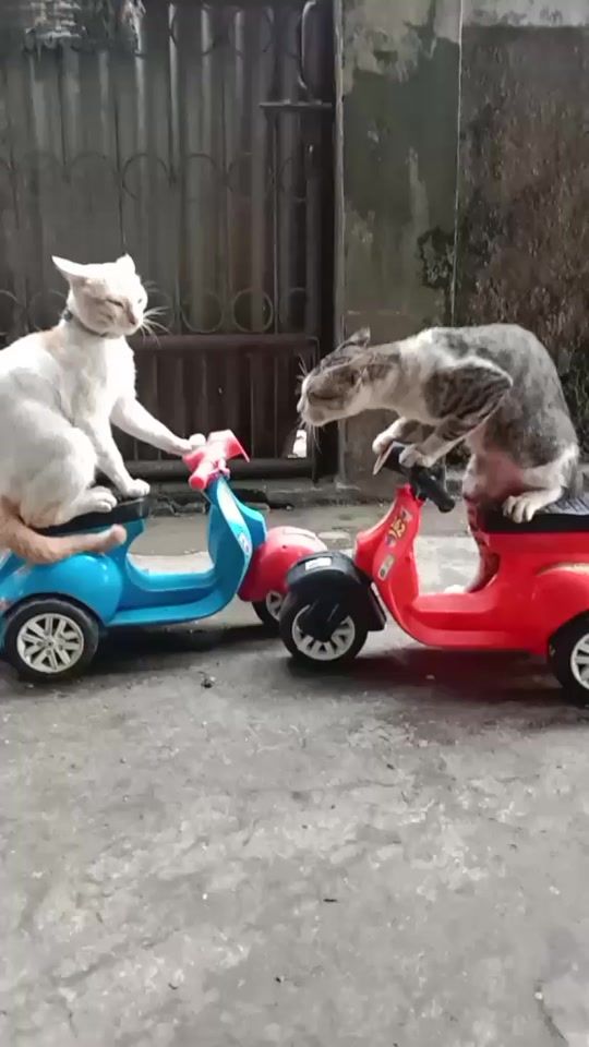 TikTok video thumbnail by wakidun.klontong