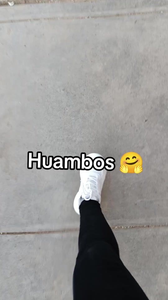 TikTok video thumbnail by zoiferlg