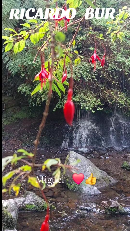TikTok video thumbnail by miguel.angel.marq847