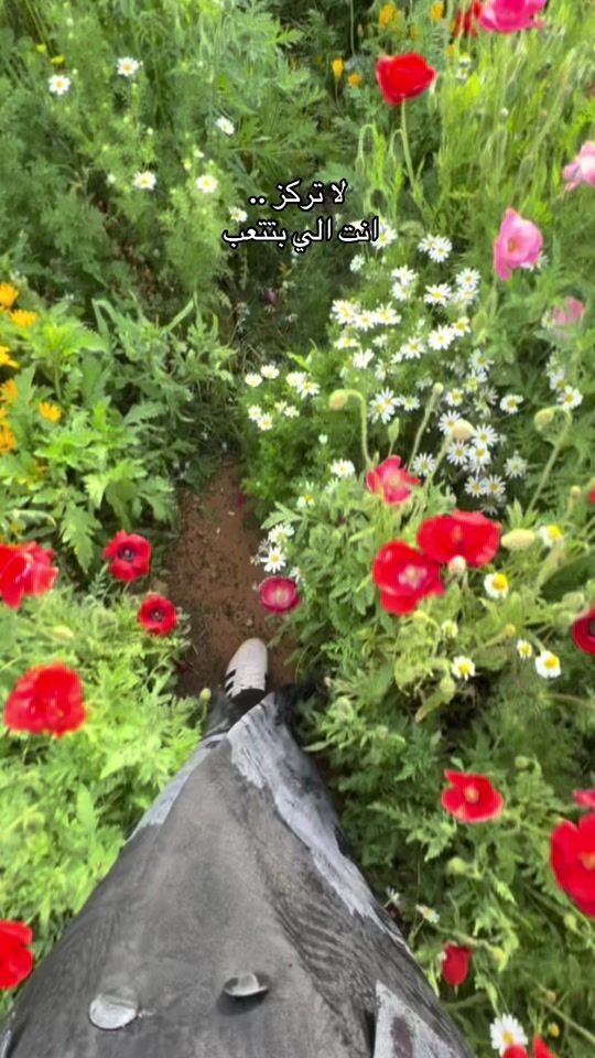 TikTok video thumbnail by maha.alajal