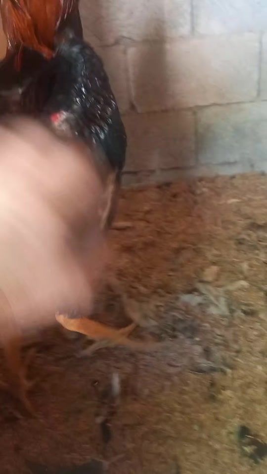 TikTok video thumbnail by tilavoldiyev.akma