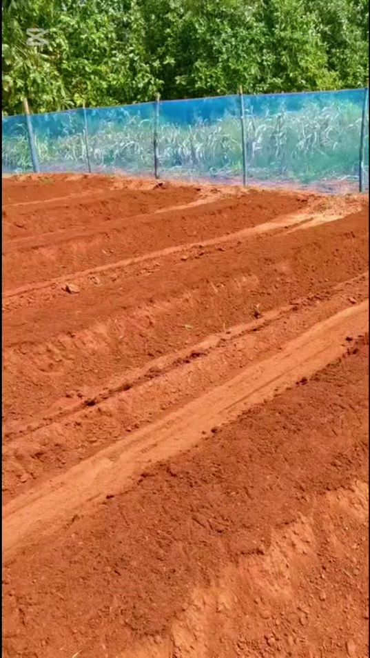 TikTok video thumbnail by tn.agri2