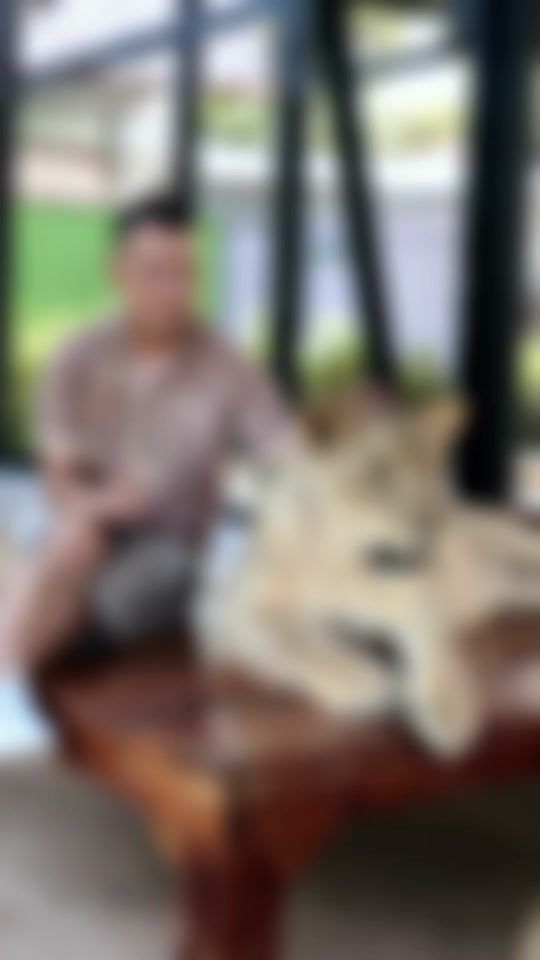 TikTok video thumbnail by lucifer_4695
