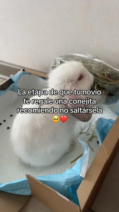 TikTok video thumbnail by flo.ignaciia0