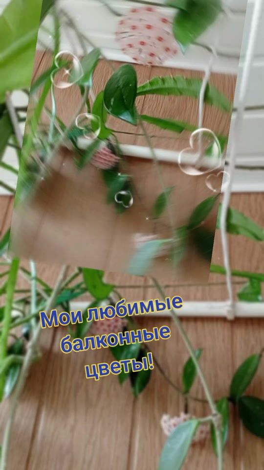 TikTok video thumbnail by .yana698