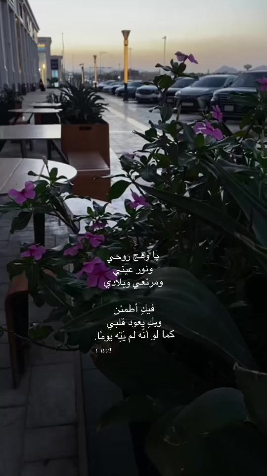 TikTok video thumbnail by i_wa1