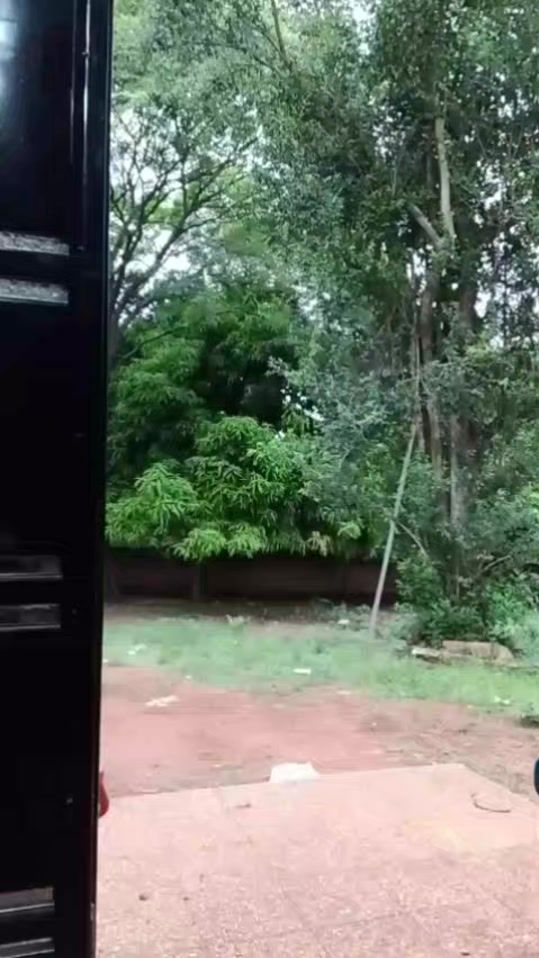 TikTok video thumbnail by lizcuenca695