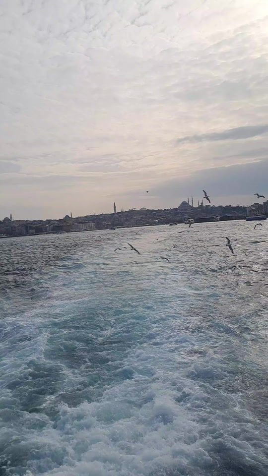 TikTok video thumbnail by nigdenin.gulu.eda