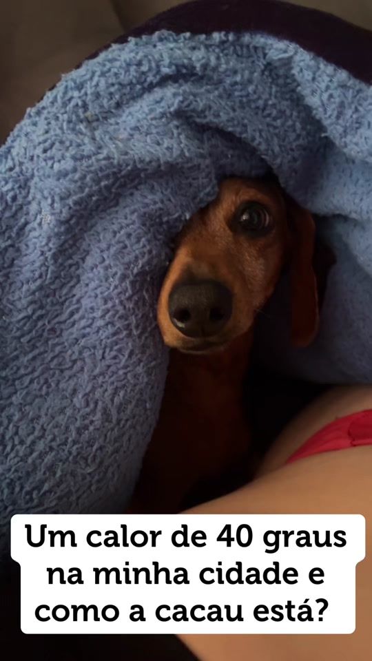 TikTok video thumbnail by dona_de_si_monteiro