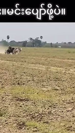 TikTok video thumbnail by user33375259