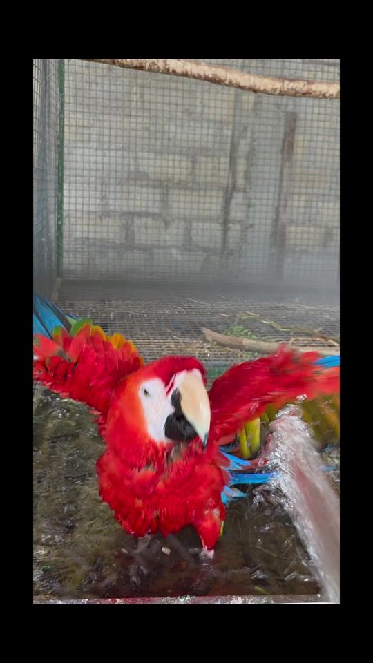TikTok video thumbnail by ahsultan