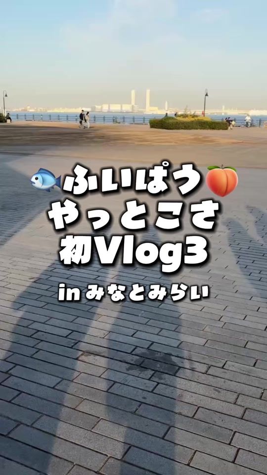 TikTok video thumbnail by paupau77_