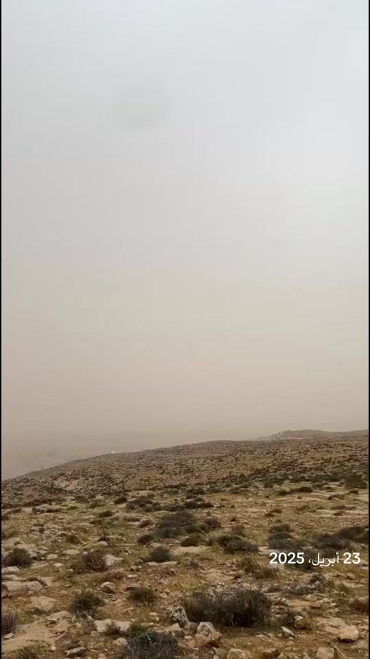 TikTok video thumbnail by plst54