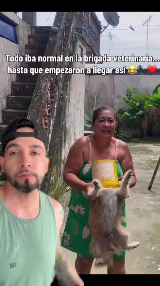 TikTok video thumbnail by soythepol