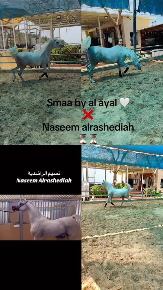 TikTok video thumbnail by ibrahemfhmawy
