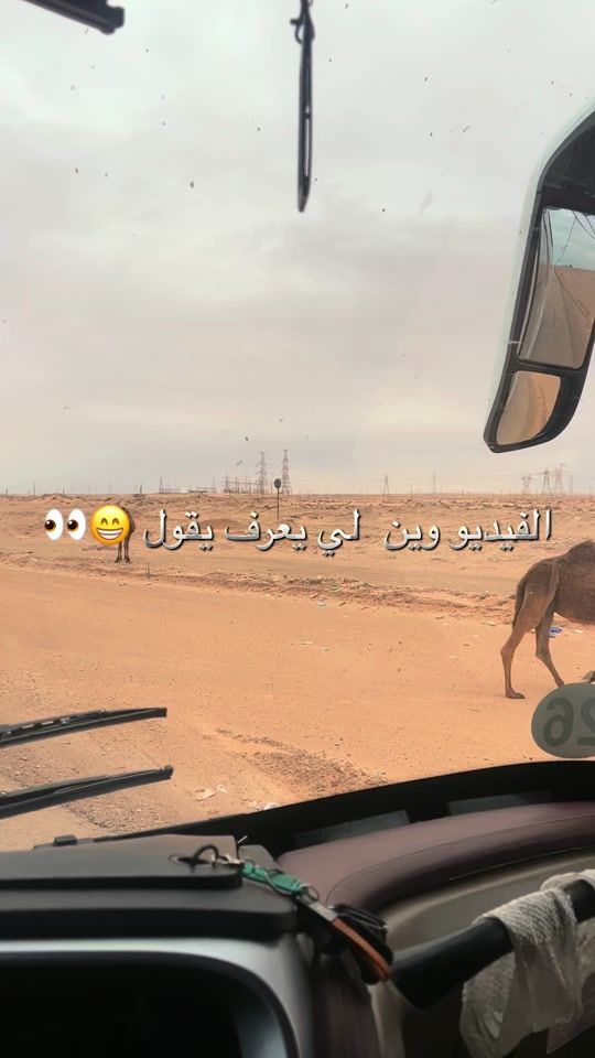 TikTok video thumbnail by m.raedan