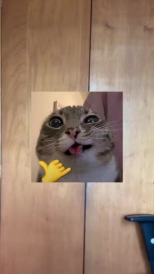 TikTok video thumbnail by johanlyz