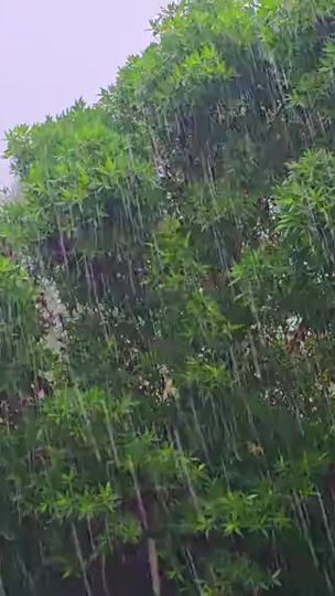 TikTok video thumbnail by hsen__54