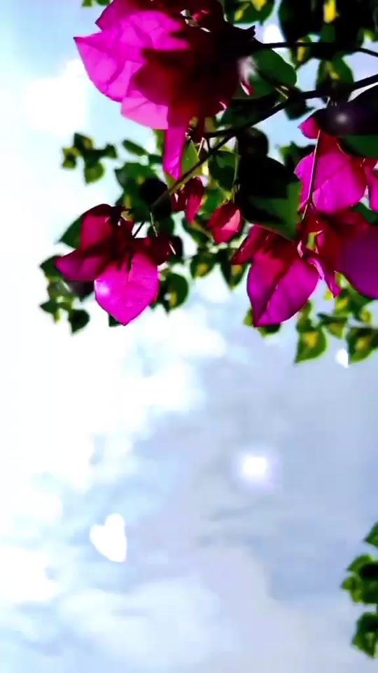 TikTok video thumbnail by manantial_de_vida_eterna