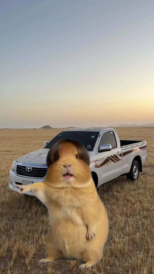 TikTok video thumbnail by king_tik82