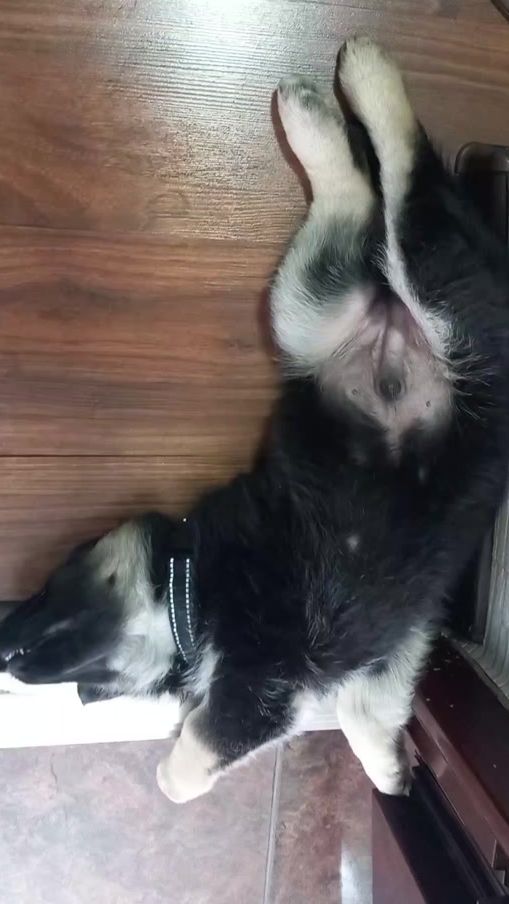 TikTok video thumbnail by marichka_kem