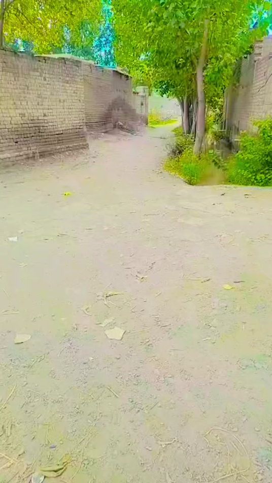 TikTok video thumbnail by kamran.jam