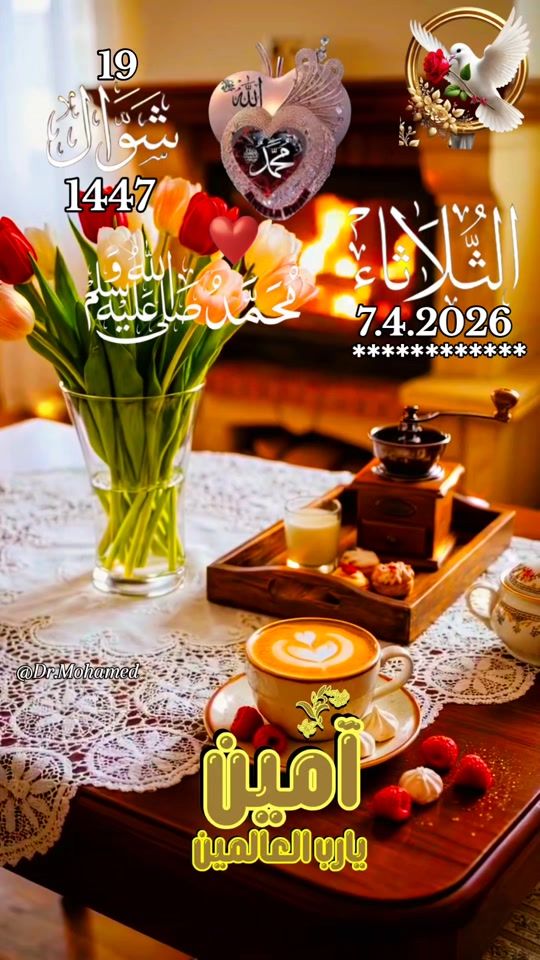 TikTok video thumbnail by dr_mohamed73