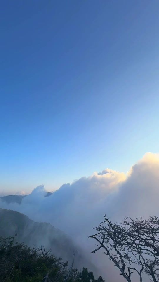 TikTok video thumbnail by jaber_mansour