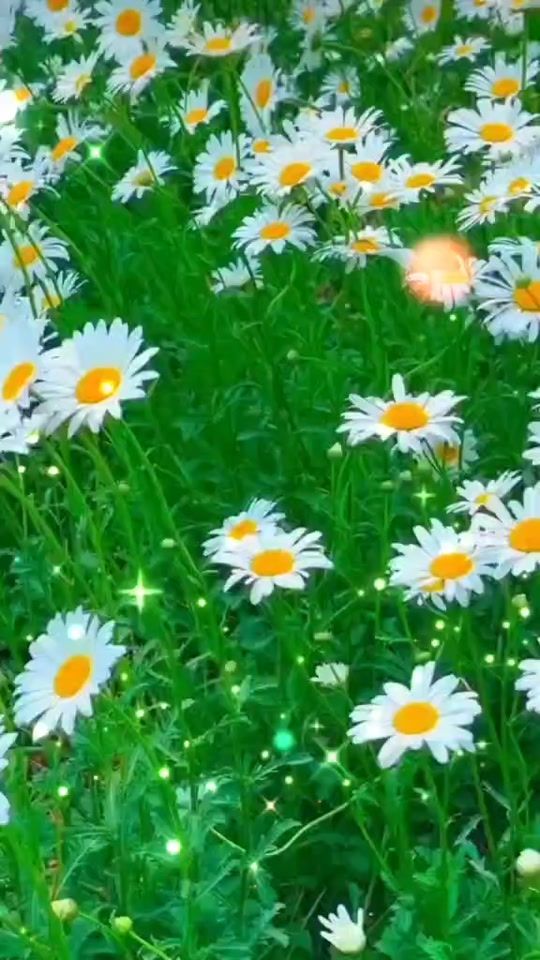 TikTok video thumbnail by user6051481139091
