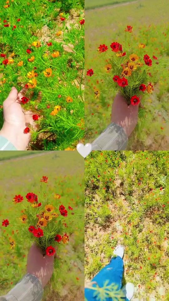 TikTok video thumbnail by j_1_22_h