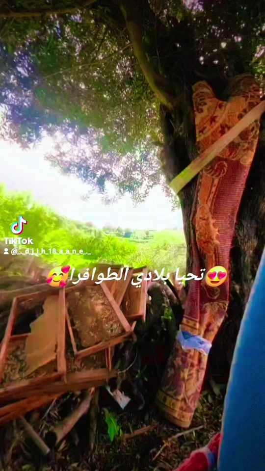 TikTok video thumbnail by _._d_j_i_h_18_a_a_n_e_._