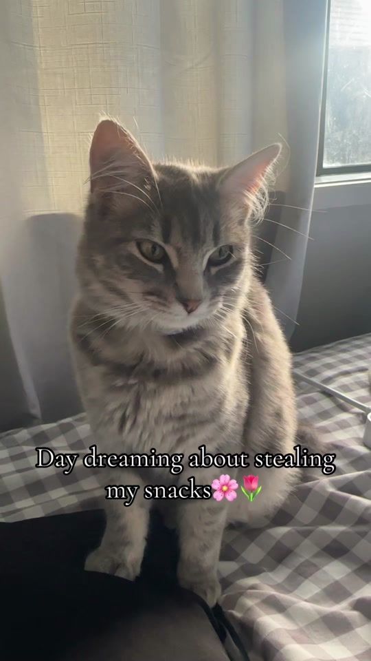 TikTok video thumbnail by daonlymami