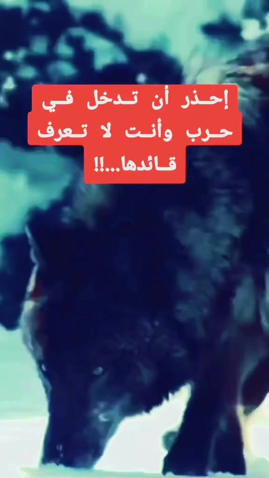 TikTok video thumbnail by walid.badi3