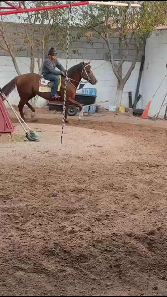 TikTok video thumbnail by cuadramg