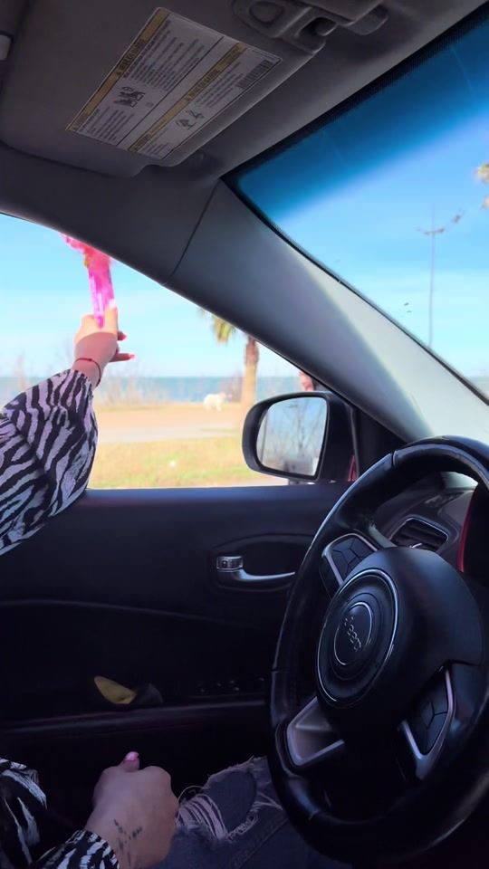 TikTok video thumbnail by vaarrsh