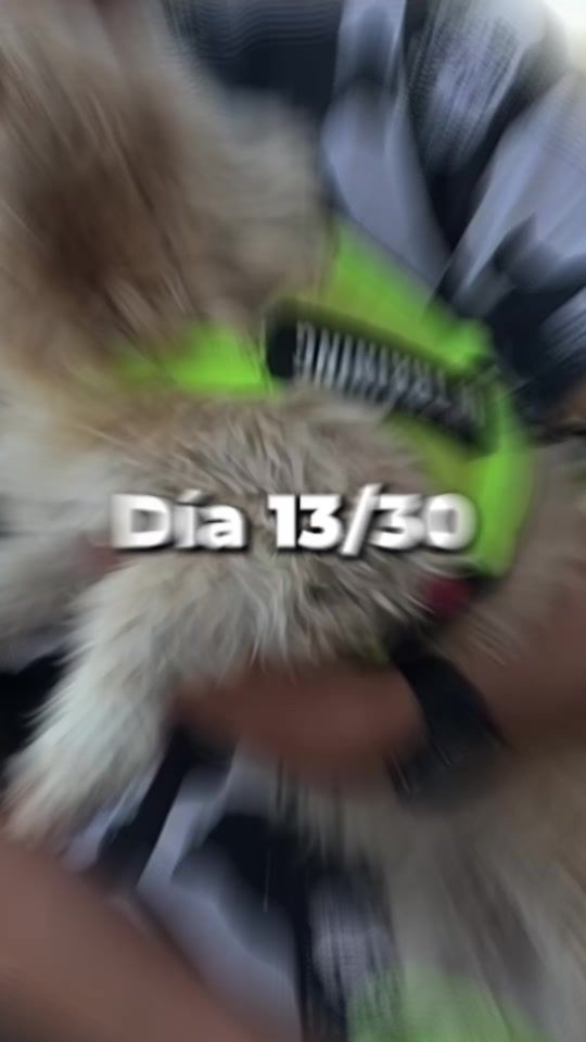 TikTok video thumbnail by ittai_mexico