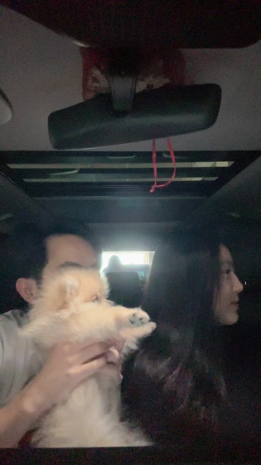 TikTok video thumbnail by patkaii8