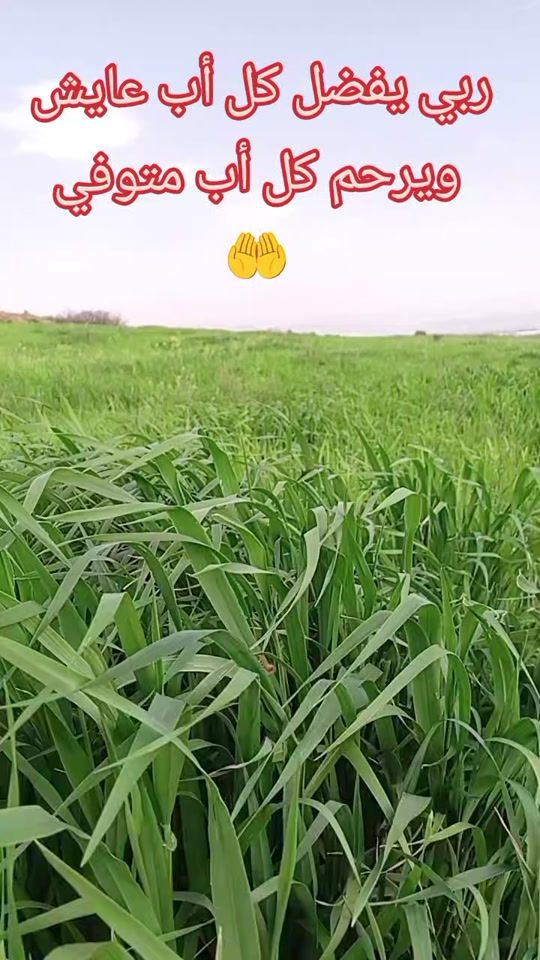 TikTok video thumbnail by raouf.rahali