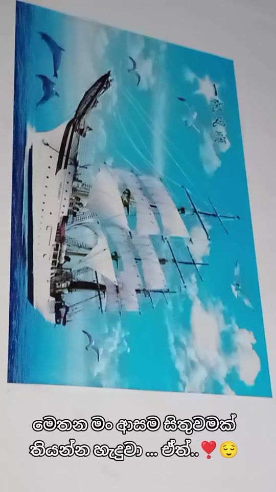 TikTok video thumbnail by udari.perera63