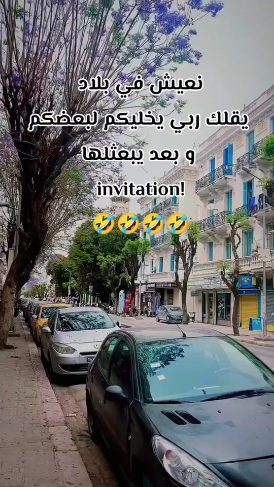 TikTok video thumbnail by alae.tounsi