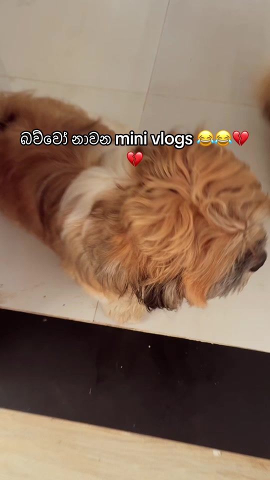 TikTok video thumbnail by p_i_y_u_girl