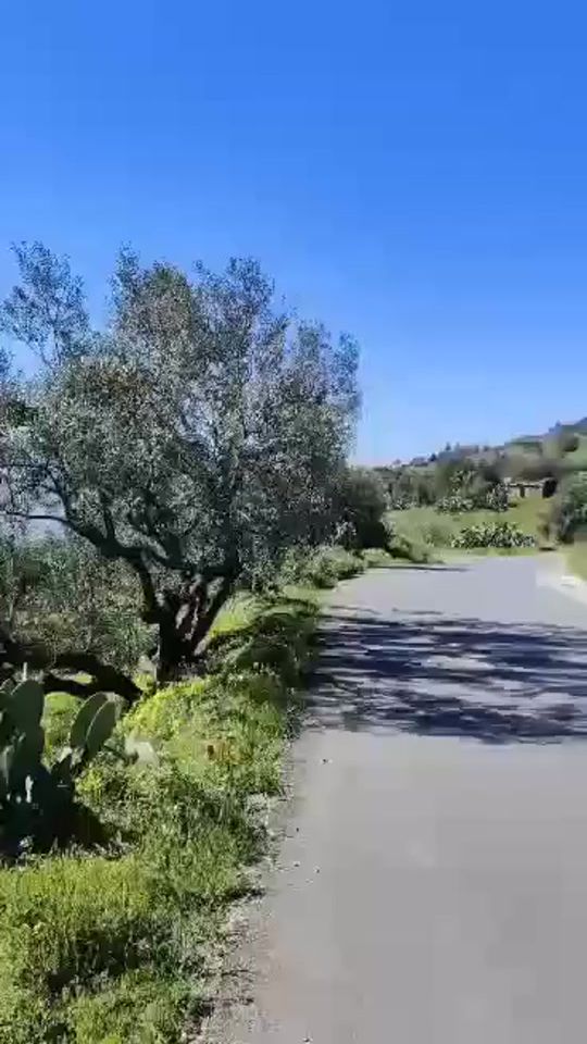 TikTok video thumbnail by nabil_akbou1