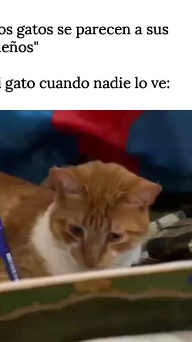 TikTok video thumbnail by dr.oscarbosio