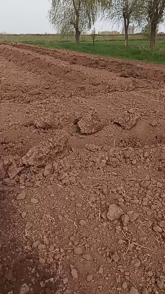 TikTok video thumbnail by kent_tesarfat