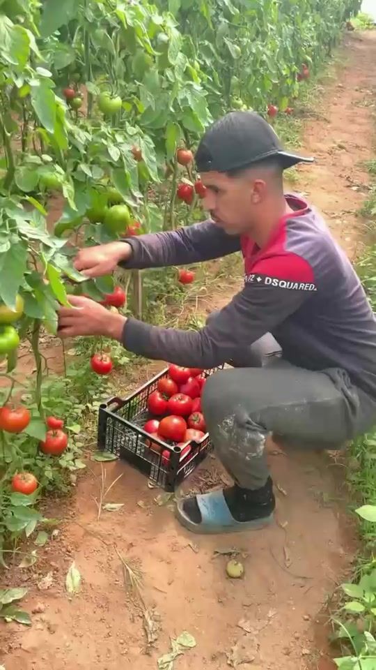 TikTok video thumbnail by zohir__gorchini
