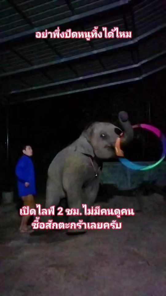 TikTok video thumbnail by nattharida10