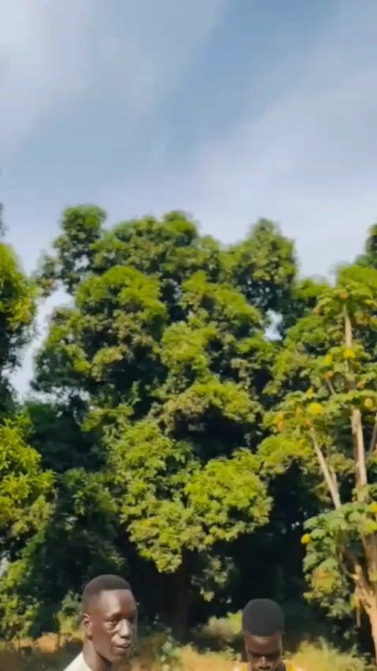 TikTok video thumbnail by comedianmimo