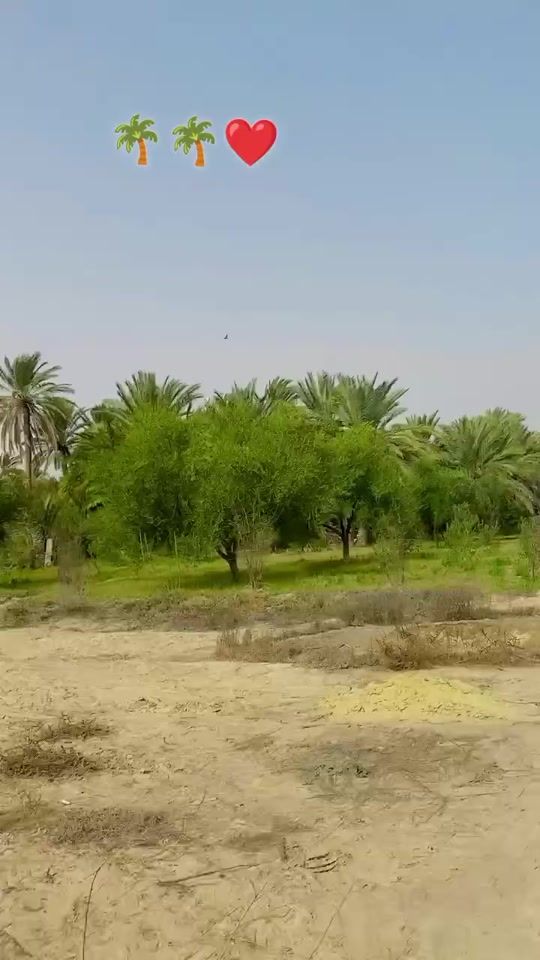 TikTok video thumbnail by hamzaouifoued